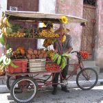 carretillero-foto-raquel-pc3a9rez-cartas-desde-cuba